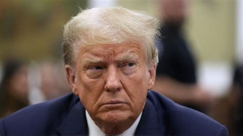 court of appeals case status inquiry system|Trump has some immunity in D.C. election interference case, .